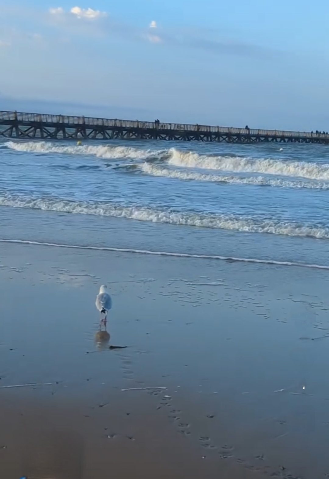 L’estacade avancée sur la mer, un promeneur sur le sable