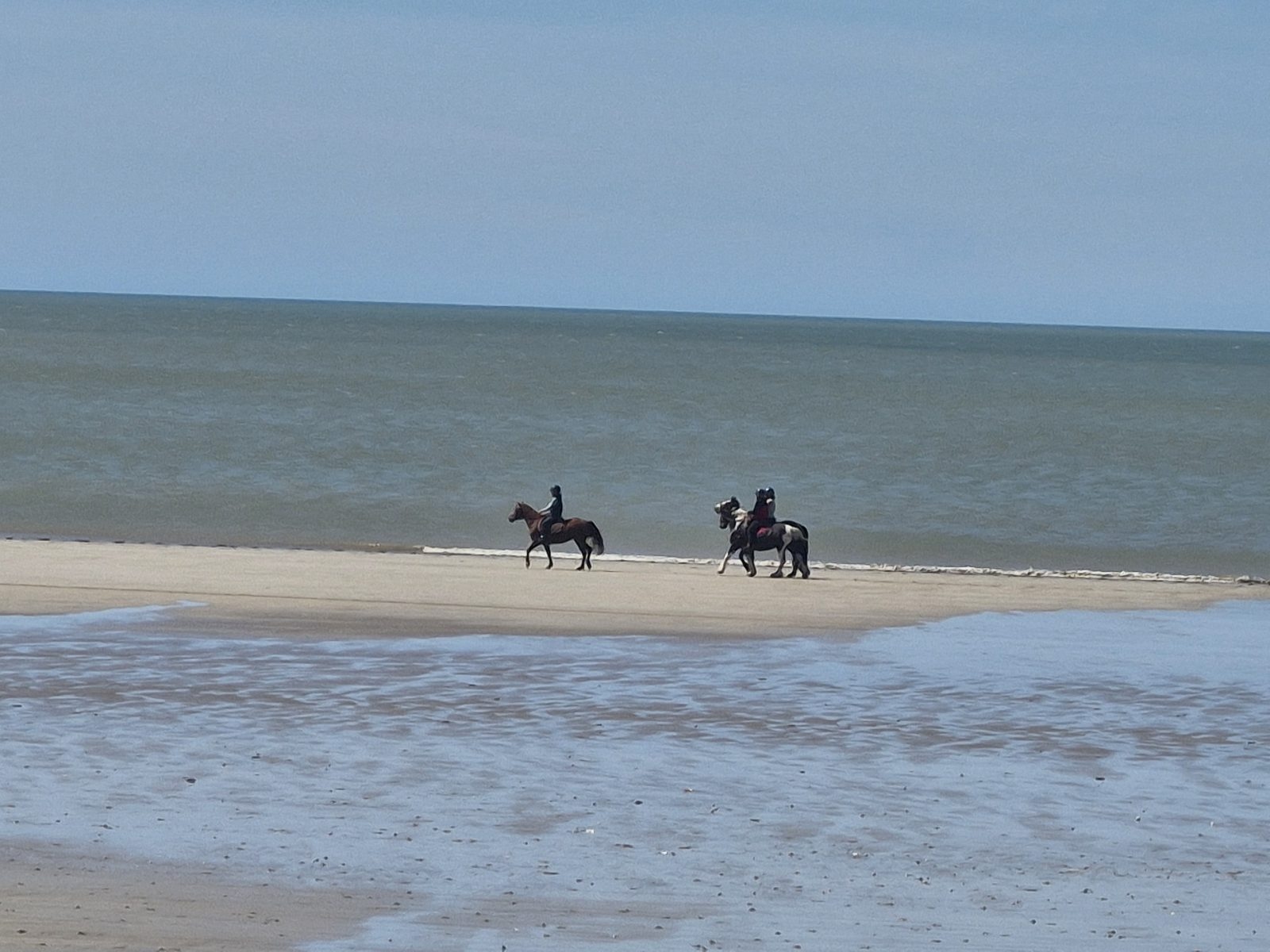 Deux cavaliers sur un banc de sable à marée basse