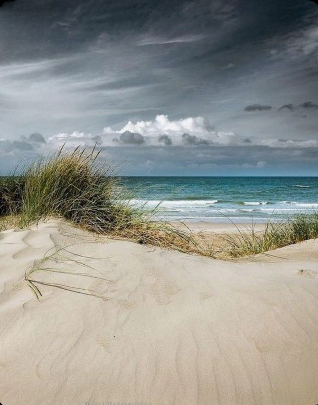 La dune et ses oyats sous un ciel chargé, la mer derrière