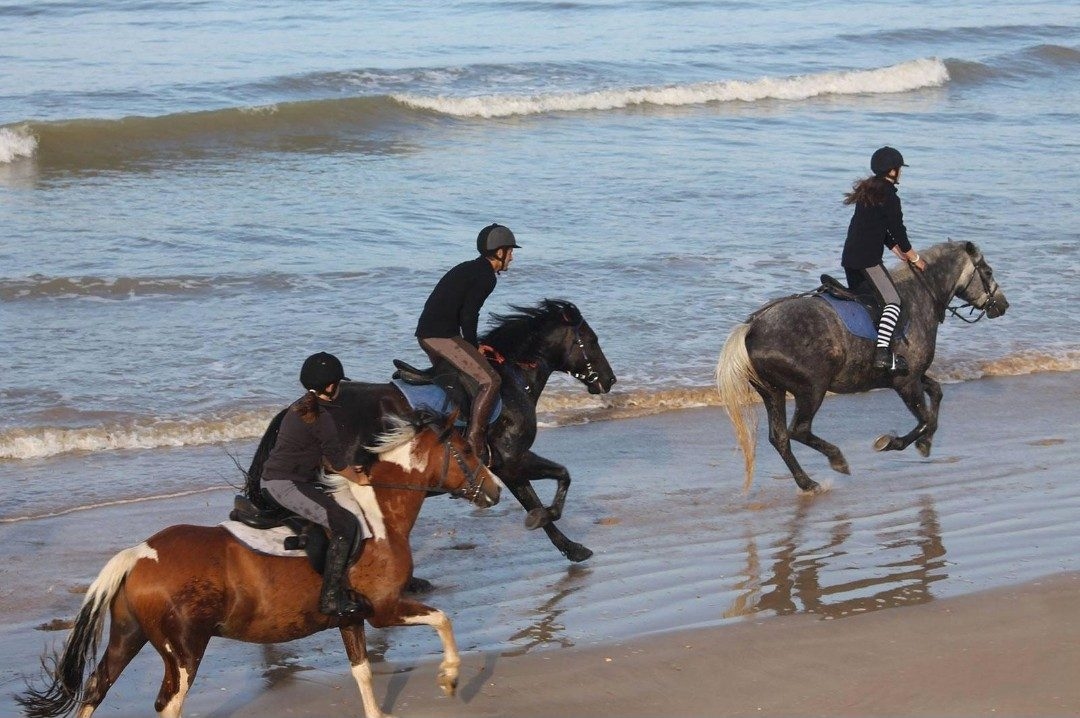 Trois cavaliers au galop dans l’eau, au bord de la plage